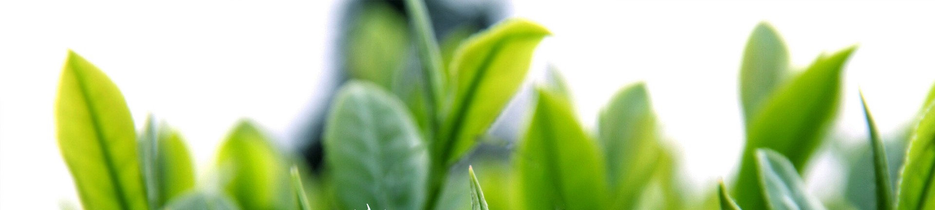 tp钱包最新版下载1.6.8